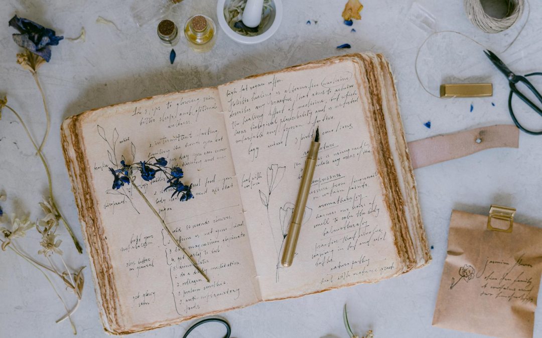 Launching Agape Healing Arts: A Return to What Matters